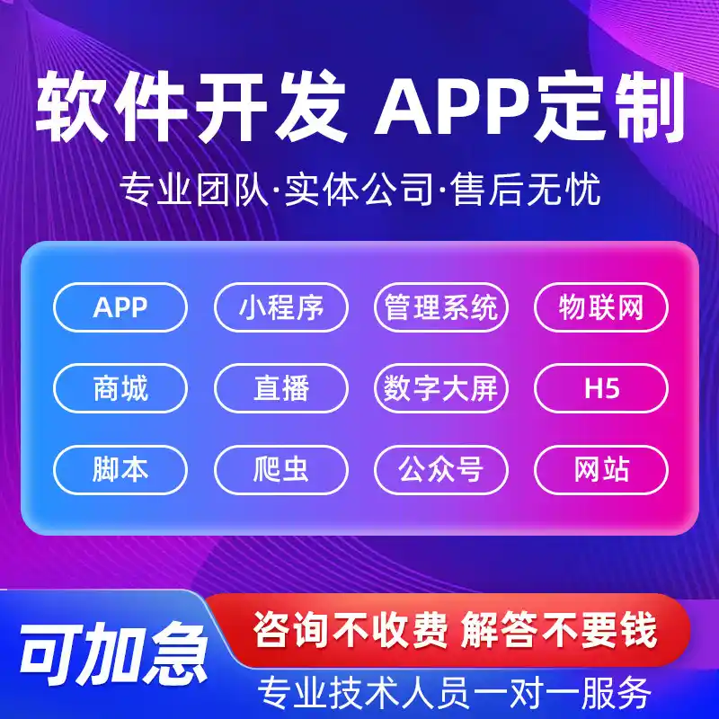 软件开发